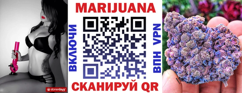как найти   Куровское  Шишки марихуана план 